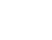 Aedes.png
